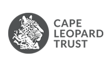 Cape-Leopard-Trust