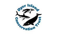 Dyer-Island-Conservation-Trust